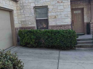 Bush Trimming by Valery Wahl for Kyle N. in Cibolo, TX