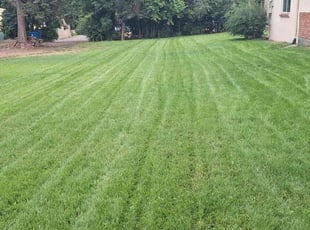 Brando B.'s Lawn Mowing service result