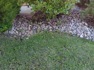 Cleanups by Gustavo Camarillo Olmos for Bret R. in Reno, NV