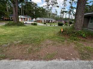 Wendy A.'s Bush Trimming service result