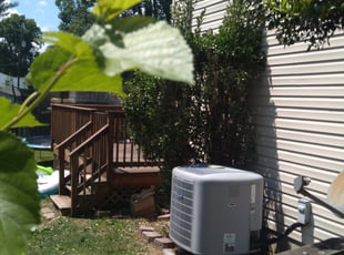 Bush Trimming by Leonard Welsh for Rose D. in Pasadena, MD