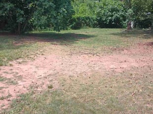 Landscaping by Mutlu Tuncer for Kyandra S. in Columbia, SC