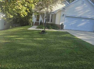 Gregston K.'s Lawn Mowing service result
