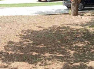 Cleanups by Brian Dudley for Kelly B. in Mansfield, TX
