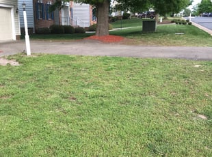 Mulching by Davon Lightfoot for Samara W. in Glen Allen, VA