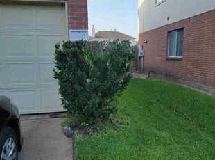Bush Trimming by Hugo Melgar for Anthony M. in Houston, TX