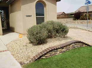 Bush Trimming by Angel Aguilera for Arick O. in Horizon City, TX