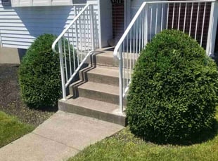 Bush Trimming by Douglas Kachele for Michelle W. in Cincinnati, OH