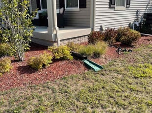 Bush Trimming by Carlos Portillo for Tamiko A. in Bennsville, MD