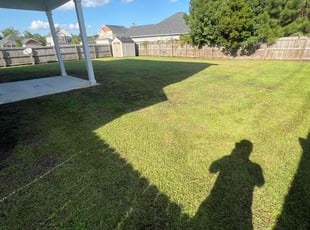 Lisa H.'s Lawn Service service result