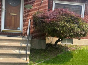 DOLAN B.'s Bush Trimming service result