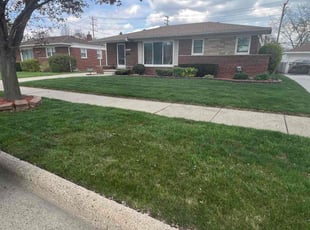 Michael G.'s Lawn Mowing service result