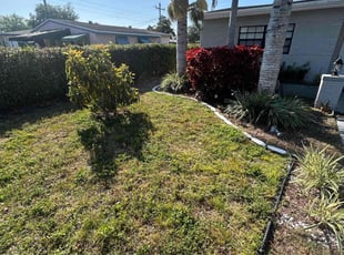 Cleanups by Jace Major for Chelsea C. in Hollywood, FL