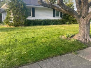 Yama G.'s Lawn Service service result