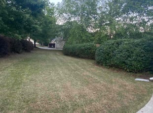Bush Trimming by Renaldo Taylor for Adam B. in Douglasville, GA