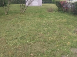 Leaf Removal by Jerome Borders for Justin M. in Memphis, TN