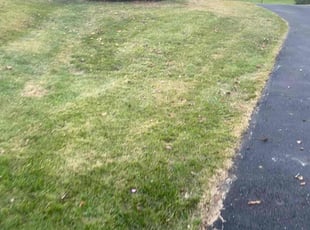 Cleanups by Moreno Santiago for Beth C. in Meadowbrook, PA
