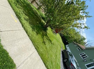 Linda R.'s Lawn Care service result