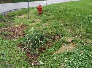 Bush Trimming by James Conway for Tiana H. in Pleasant Valley, MO