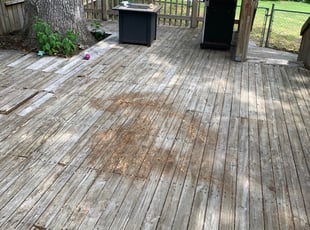 Leaf Removal by Jamel Evans for Lindsay S. in Richmond, VA