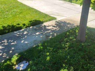 Allison M.'s Lawn Service service result