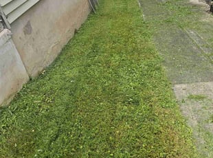 Julie F.'s Lawn Service service result