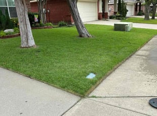 Aquino B.'s Lawn Mowing service result
