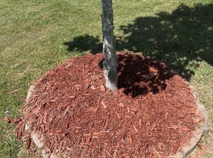 Weeding by William Webb for Diahann R. in Midland, NC