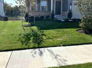Alexander W.'s Yard Cutting service result