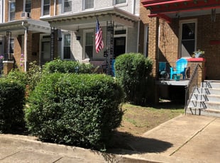 Bush Trimming by Christopher Witherall for Monique M. in Washington, DC