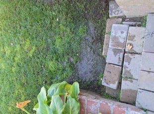 Aeration by Juan Gomez for Thomas T. in Santa Clarita, CA