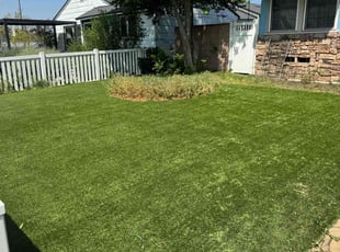 Leaf Removal by Derek Howard for Matthew H. in Burbank, CA