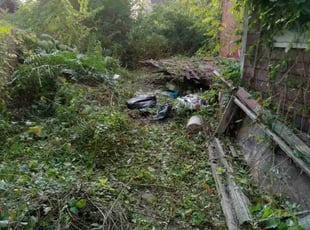 Cleanups by Desmond Standifer for Karen H. in Kansas City, MO