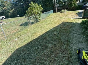 Leaf Removal by Cesar Vargas for Raymond A. in Jackson Township, NJ