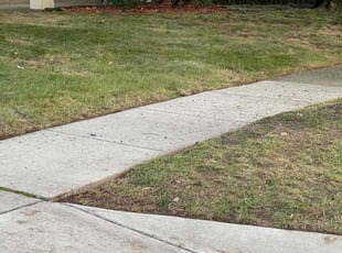 Leaf Removal by Daronte Lewis for Greg (Ellen) C. in Upper Marlboro, MD