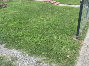 Adam H.'s Lawn Mowing Service service result