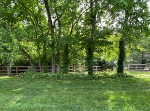 Landscaping by Gary Andersen for Matthew E. in Mason, OH