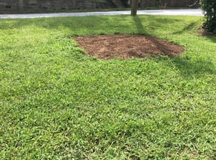 Cleanups by Jeffrey DeYoung for Leah C. in Greenville, SC