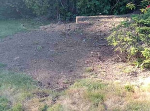 Cleanups by Robert Marsico for Damon F. in Portland, OR
