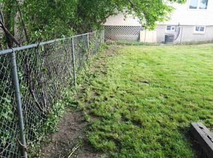 Bush Trimming by Ronnie Anderson for Robert k. in Milwaukee, WI