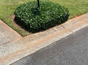 Bush Trimming by Louis Sampson for Tracy O. in Mableton, GA