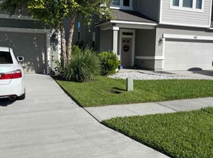 Jenelle D.'s Lawn Care service result