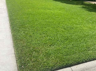 Laura M.'s Grass Cutting service result