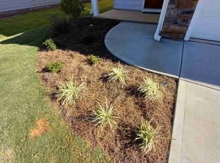 Weeding by Darryl Bailey for Scott F. in McDonough, GA