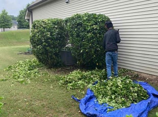 Bush Trimming by Brandon Medlin for Cheryl L. in Raleigh, NC