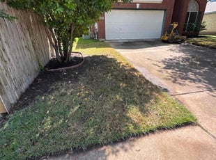 Leaf Removal by Noah Morrison for Jeffrey S. in Austin, TX