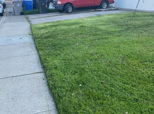 Cleanups by Michael Linley for Cindy S. in Sacramento, CA