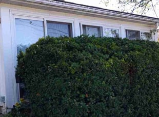 Bush Trimming by Bob Gilbert for cheryl a. in McDonald, PA