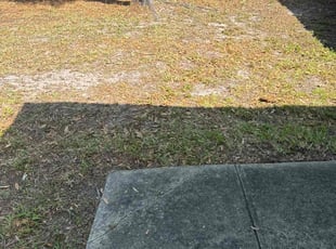 Leaf Removal by Robert Myers for Alexander D. in Altamonte Springs, FL