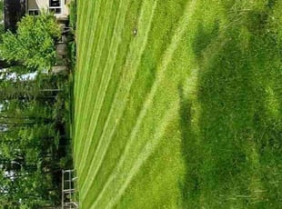 Robert P.'s Grass Cutting service result